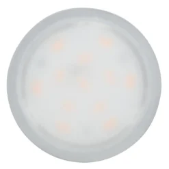 Paulmann No. 93077 LED Modul Base Coin 5W 3000K 3-Step-Dim Opal