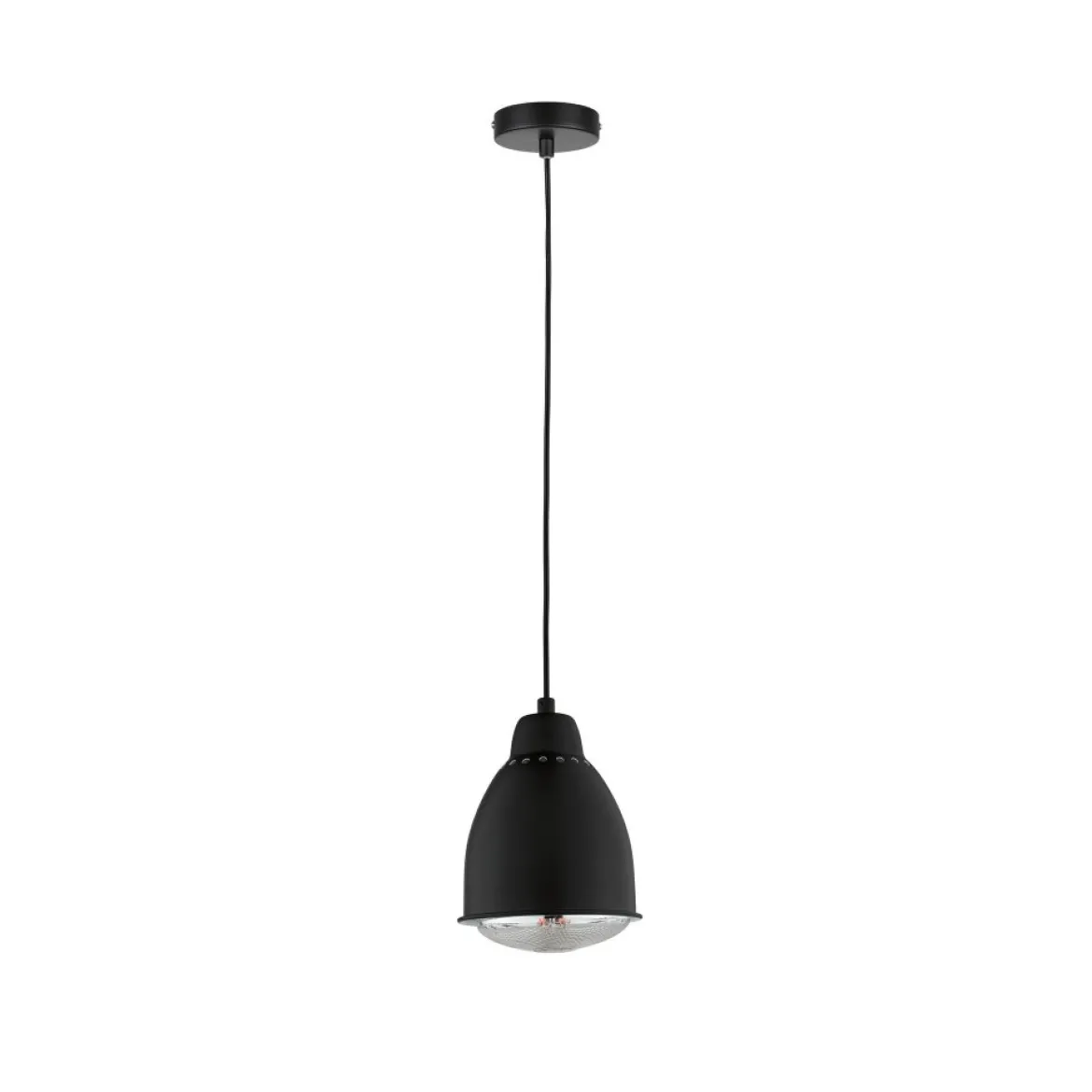 Paulmann No. 79763 Pendelleuchte Neordic Hilla 1-flammig Pflanzenleuchte schwarz E27