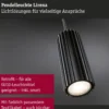 Paulmann 94918 Pendelleuchte Lirena 1-flammig Schwarz GU10 max.10W