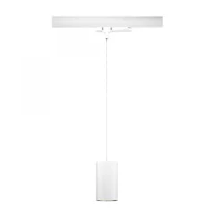 Paulmann 96601 ProRail3 LED Schienenpendel Kratos 3000K 1000lm Weiß