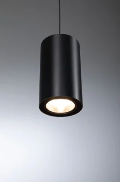 Paulmann 96602 ProRail3 LED Schienenpendel Kratos 3000K 1000lm Schwarz