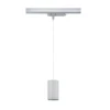 Paulmann 96612 ProRail3 LED Schienenpendel Kratos 3000K 3000lm Silber