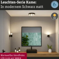 Paulmann 79558 Selection Bathroom LED Deckenleuchte Kame 3000K Schwarz IP44