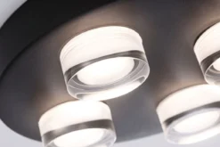 Paulmann 79558 Selection Bathroom LED Deckenleuchte Kame 3000K Schwarz IP44