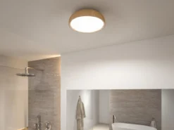 Paulmann 71083 Selection Bathroom LED Deckenleuchte Oka IP44 White Switch Holzoptik