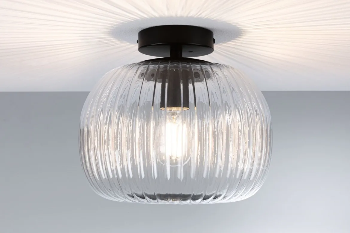 Paulmann 71146 Selection Bathroom Deckenleuchte Ruya Klarglas Schwarz E27 IP44