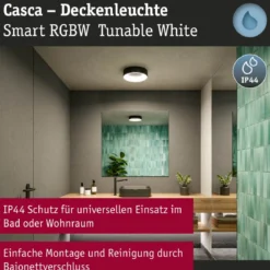 Paulmann 75416 Smart Home LED Deckenleuchte Casca schwarz IP44 RGBW 40cm