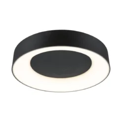 Paulmann 75416 Smart Home LED Deckenleuchte Casca schwarz IP44 RGBW 40cm