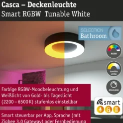Paulmann 75416 Smart Home LED Deckenleuchte Casca schwarz IP44 RGBW 40cm