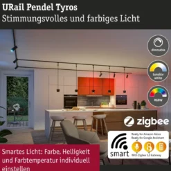 Paulmann 95684 URail LED Pendel Tyros Zigbee RGBW 230V Schwarz matt