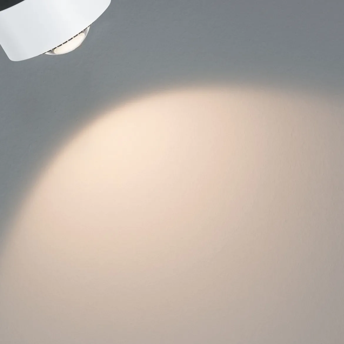 Paulmann 94898 URail LED Spot Aldan 4000K dimmbar 230V Signalweiß RAL 9003