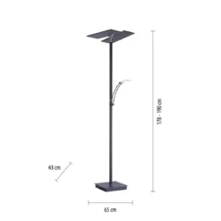 Paul Neuhaus 687-13 ARTUR LED Stehleuchte anthrazit mit Lesearm dimmbar