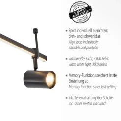 Paul Neuhaus 6525-18 BARIK LED Deckenleuchte 4-flammig Schwarz