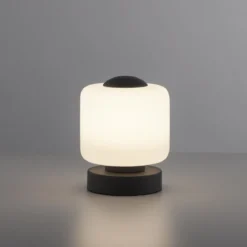 Paul Neuhaus 4037-13 Bota Tischleuchte anthrazit rund Touchdimmer