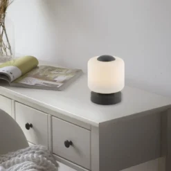 Paul Neuhaus 4037-13 Bota Tischleuchte anthrazit rund Touchdimmer
