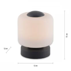 Paul Neuhaus 4037-13 Bota Tischleuchte anthrazit rund Touchdimmer