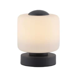 Paul Neuhaus 4037-13 Bota Tischleuchte anthrazit rund Touchdimmer