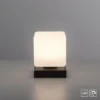 Paul Neuhaus 4036-13 Dadoa Tischleuchte anthrazit Touchdimmer