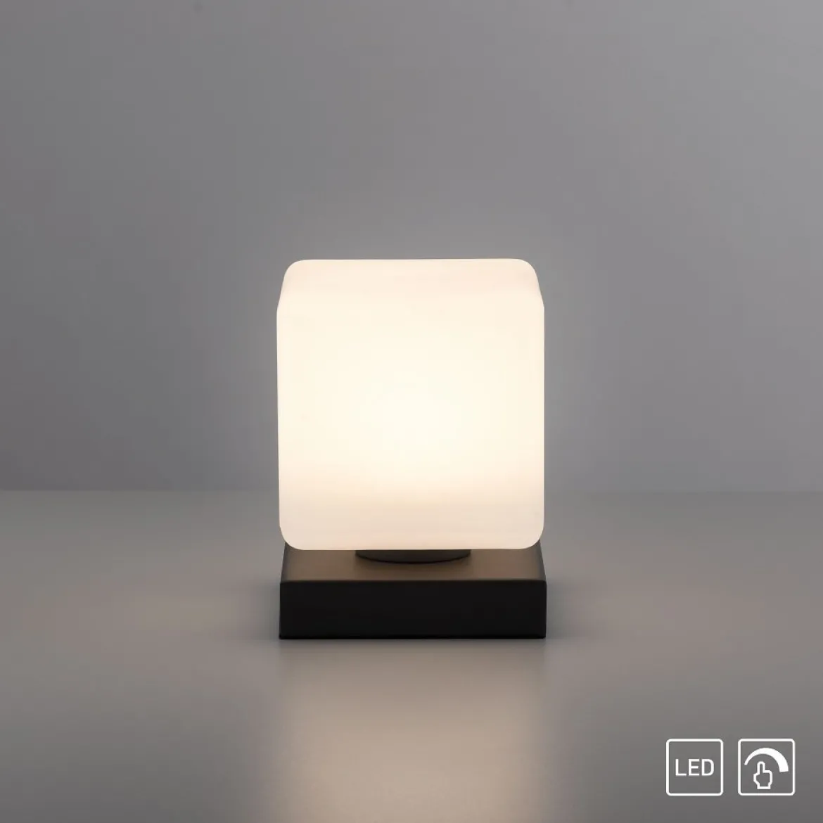 Paul Neuhaus 4036-13 Dadoa Tischleuchte anthrazit Touchdimmer