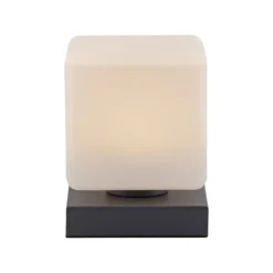 Paul Neuhaus 4036-13 Dadoa Tischleuchte anthrazit Touchdimmer