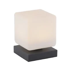 Paul Neuhaus 4036-13 Dadoa Tischleuchte anthrazit Touchdimmer