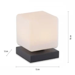 Paul Neuhaus 4036-13 Dadoa Tischleuchte anthrazit Touchdimmer