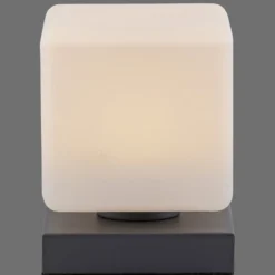 Paul Neuhaus 4036-13 Dadoa Tischleuchte anthrazit Touchdimmer