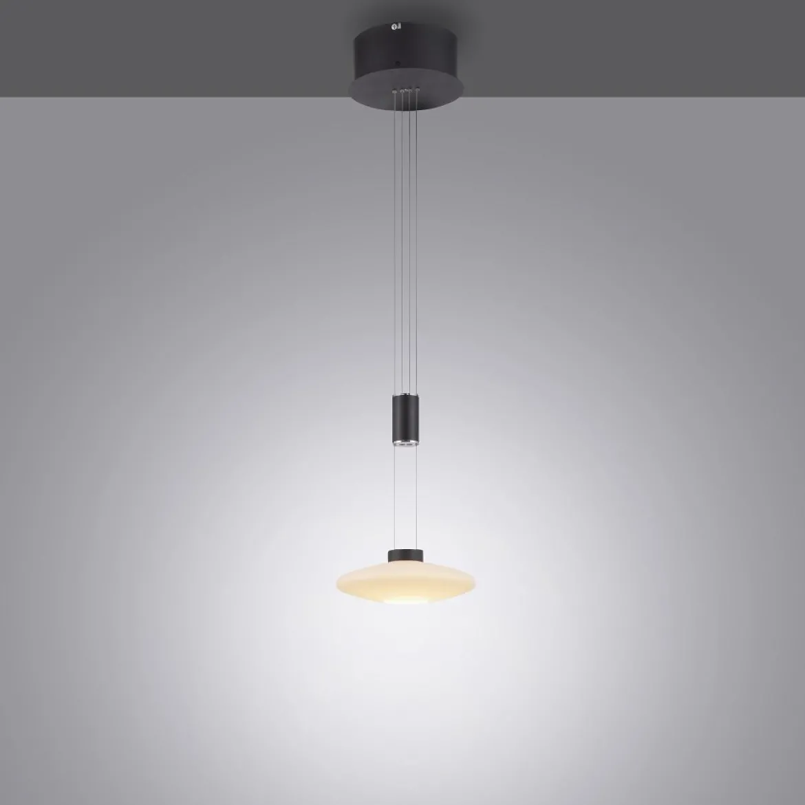 Paul Neuhaus 2080-18 LAUTADA Pendelleuchte 1-flammig Schwarz