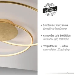 Paul Neuhaus 6189-12 LED Deckenleuchte gold dimmbar 3000K