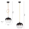 Paul Neuhaus 2410-18 LED Pendelleuchte 1-flammig Seil beleuchtet höhenverstellbar