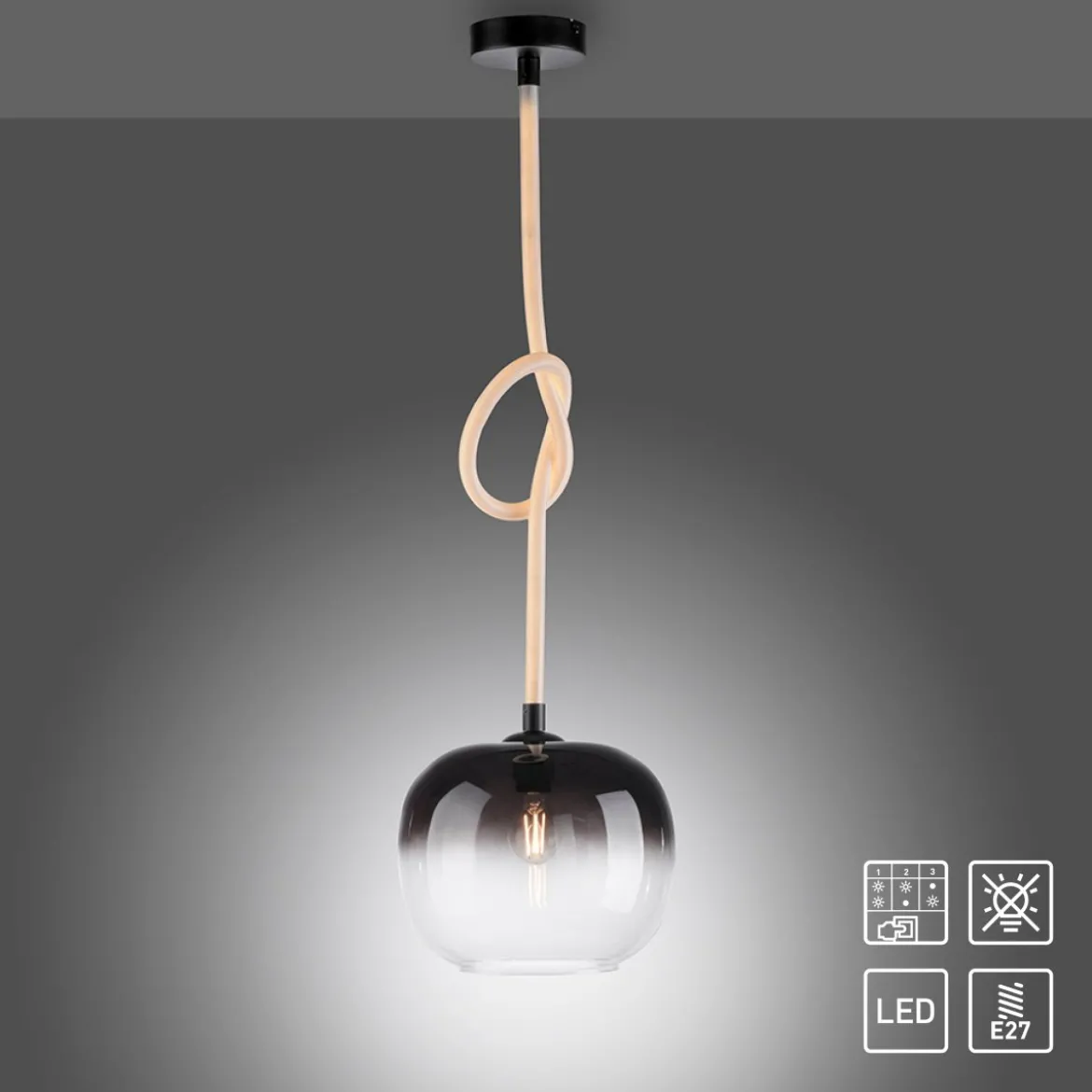 Paul Neuhaus 2410-18 LED Pendelleuchte 1-flammig Seil beleuchtet höhenverstellbar