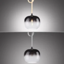 Paul Neuhaus 2410-18 LED Pendelleuchte 1-flammig Seil beleuchtet höhenverstellbar