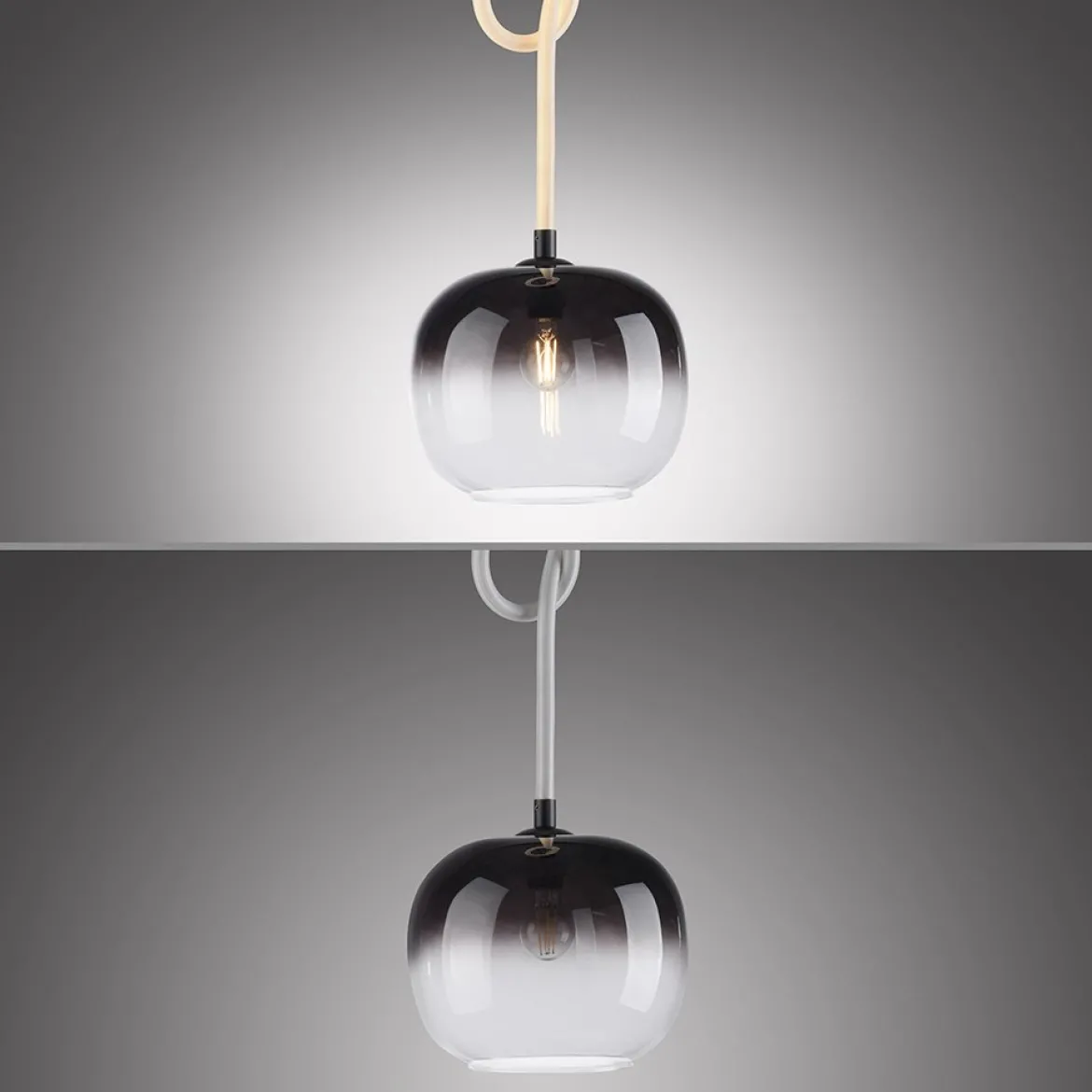 Paul Neuhaus 2410-18 LED Pendelleuchte 1-flammig Seil beleuchtet höhenverstellbar
