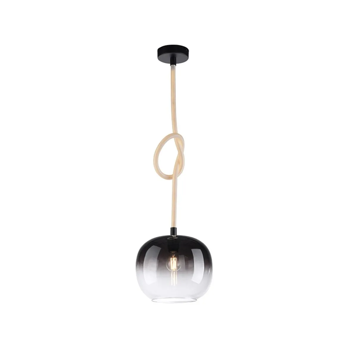 Paul Neuhaus 2410-18 LED Pendelleuchte 1-flammig Seil beleuchtet höhenverstellbar