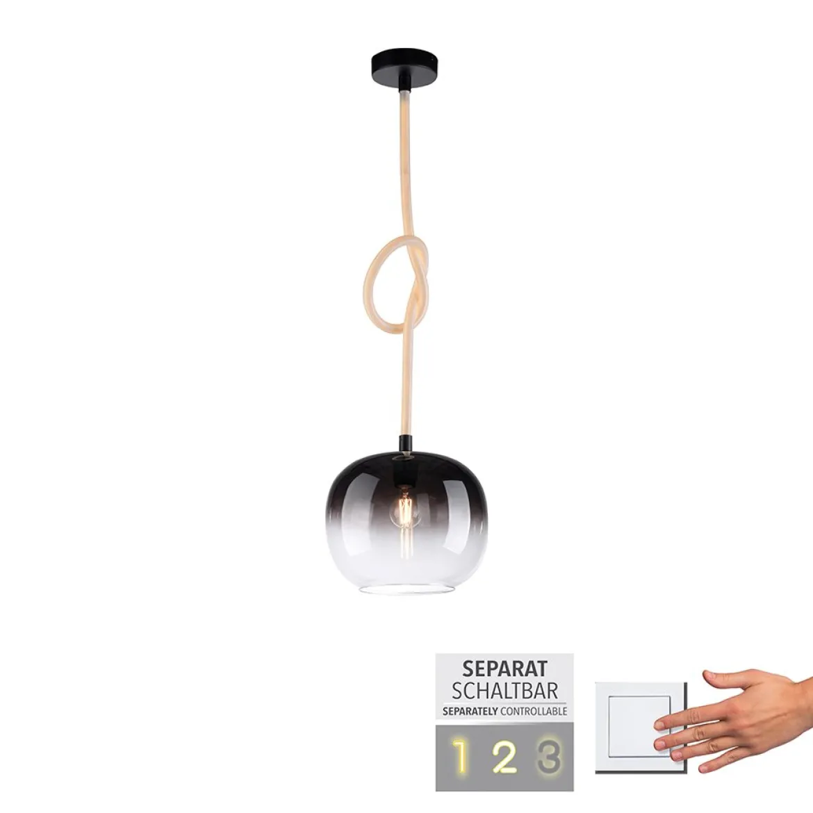 Paul Neuhaus 2410-18 LED Pendelleuchte 1-flammig Seil beleuchtet höhenverstellbar