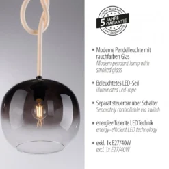 Paul Neuhaus 2410-18 LED Pendelleuchte 1-flammig Seil beleuchtet höhenverstellbar