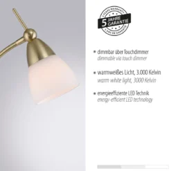 Paul Neuhaus 400-60 LED Stehleuchte messing matt Opalglas Touchdimmer 3000K