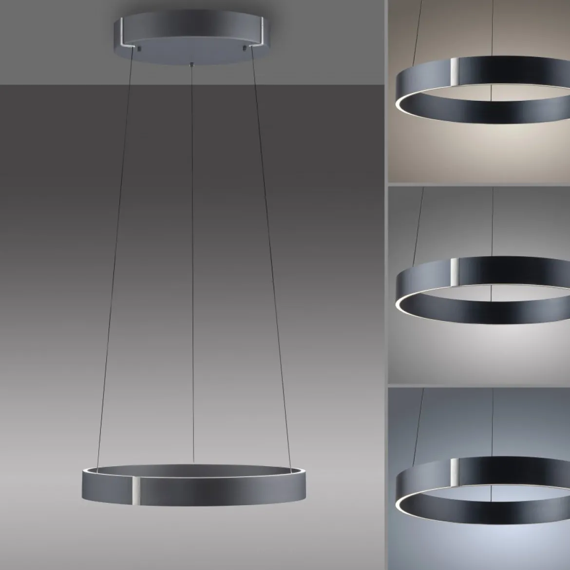 Paul Neuhaus 2560-15 Neuhaus PURE E-Clipse LED Pendelleuchte mystic grey elektrisch