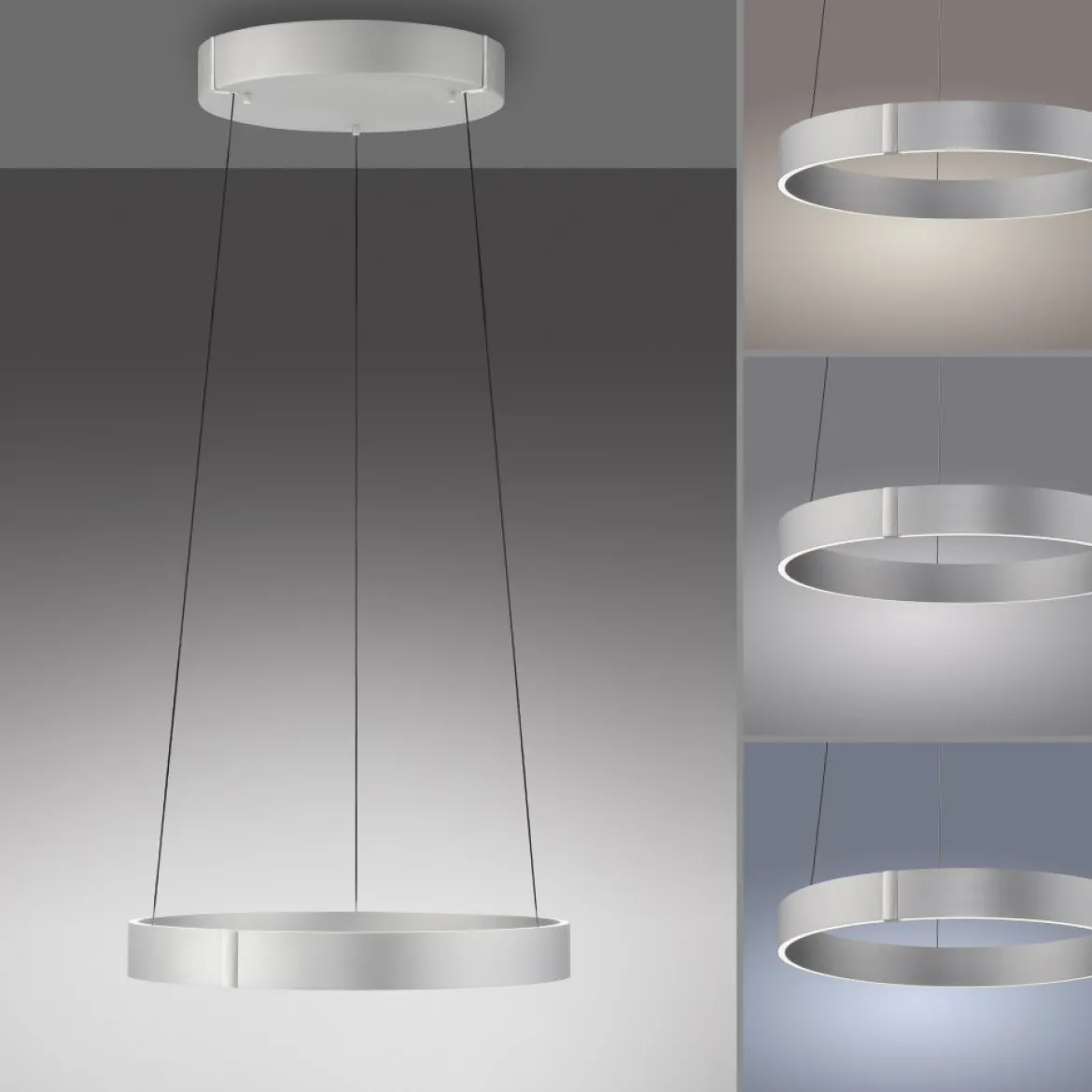 Paul Neuhaus 2560-95 Neuhaus PURE E-Clipse LED Pendelleuchte stone (alu) elektrisch