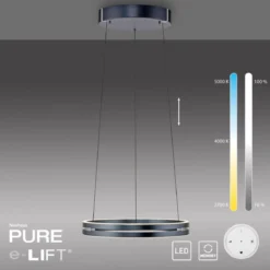 Paul Neuhaus 2550-15 Neuhaus PURE E-Loop LED Pendelleuchte mystic grey 2700-5000 K