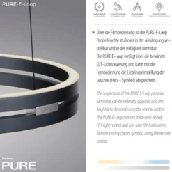 Paul Neuhaus 2550-15 Neuhaus PURE E-Loop LED Pendelleuchte mystic grey 2700-5000 K