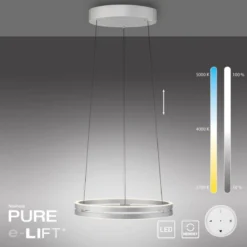 Paul Neuhaus 2550-95 Neuhaus PURE E-Loop LED Pendelleuchte stone (alu) 2700-5000 K