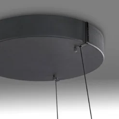 Paul Neuhaus 2551-18 Neuhaus PURE E-Loop LED Pendelleuchte oak black pearl 2700-5000 K