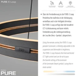 Paul Neuhaus 2551-18 Neuhaus PURE E-Loop LED Pendelleuchte oak black pearl 2700-5000 K
