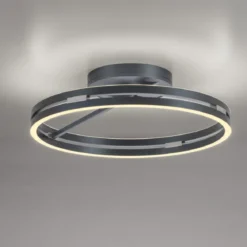 Paul Neuhaus 6552-15 Neuhaus PURE Loop LED Deckenleuchte mystic grey 2700-5000 K