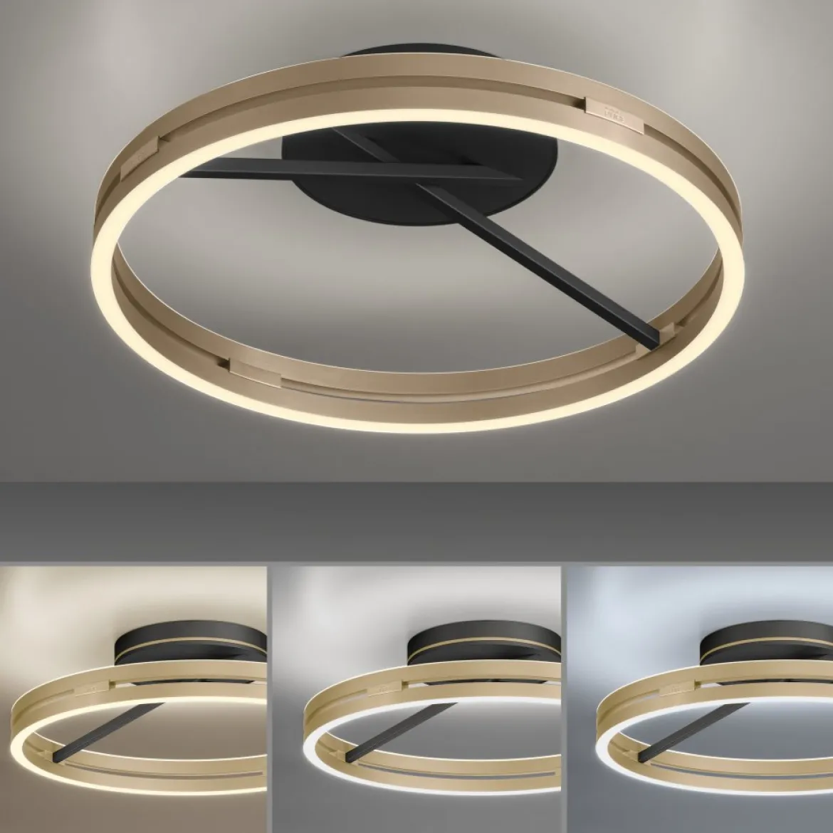 Paul Neuhaus 6552-68 Neuhaus PURE Loop LED Deckenleuchte black ivory gold 2700-5000 K