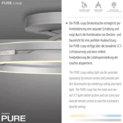 Paul Neuhaus 6552-95 Neuhaus PURE Loop LED Deckenleuchte stone (alu) 2700-5000 K