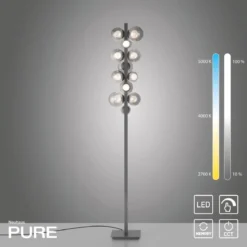 Paul Neuhaus 557-15 Neuhaus PURE Popup LED Stehleuchte platin (grau)