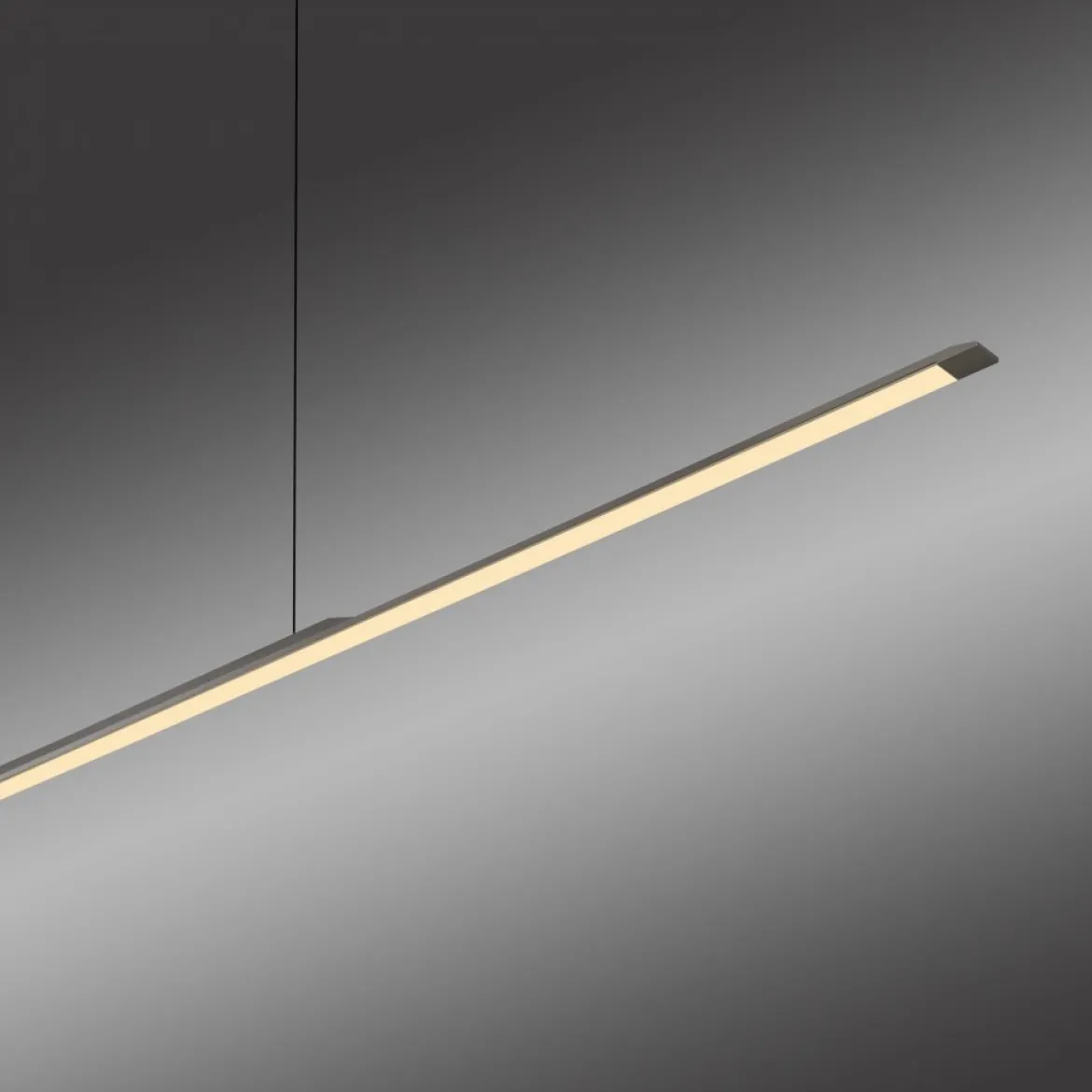 Paul Neuhaus 2301-15 Neuhaus PURE Surface LED Pendelleuchte platin (grau) 3000K