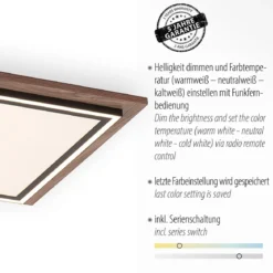 Paul Neuhaus 6141-79 PALMA Deckenleuchte Holzdekor
